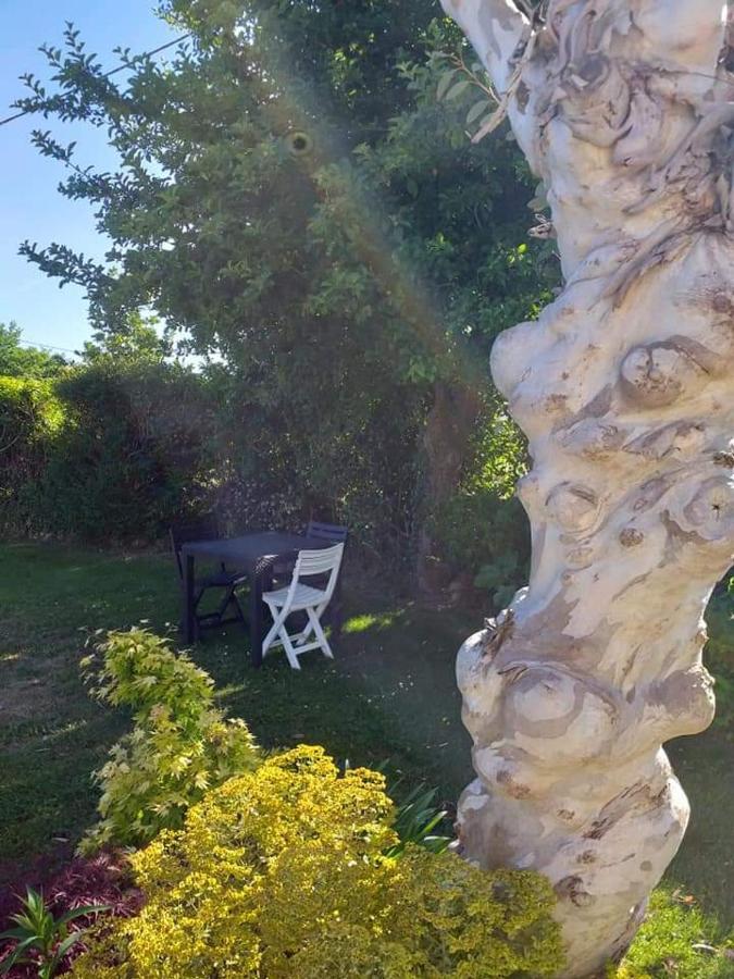 ホテル Chez Michel Et Michele Calan エクステリア 写真